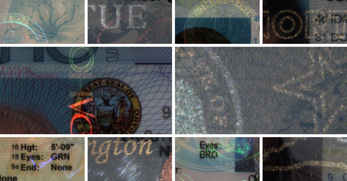 Examples of holograms and pearlescent overlay security features on various state IDs